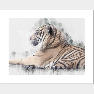 Tiger Wild Animal Safari Africa Feline Jungle_ Posters and Art